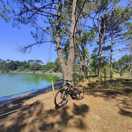 Vila Casa Amarela Cortegaça Exteriér fotografie