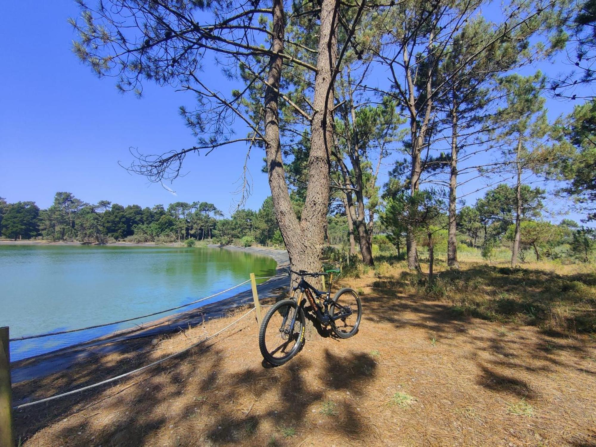 Vila Casa Amarela Cortegaça Exteriér fotografie
