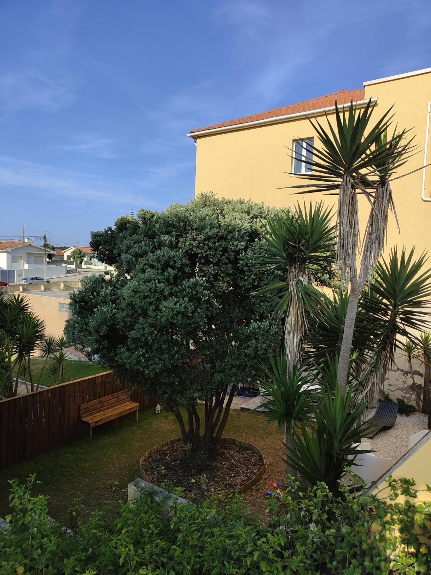 Vila Casa Amarela Cortegaça Exteriér fotografie